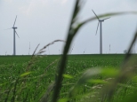 Czysto energetyczna ferm wiatrowych Kujawy