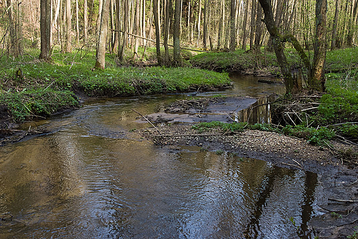 Wigierski Park Narodowy