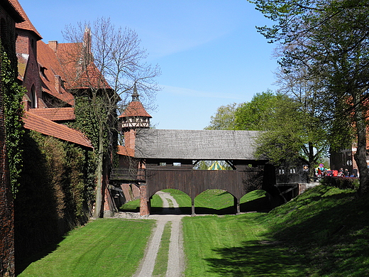 zamek malbork