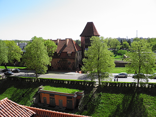 zamek malbork