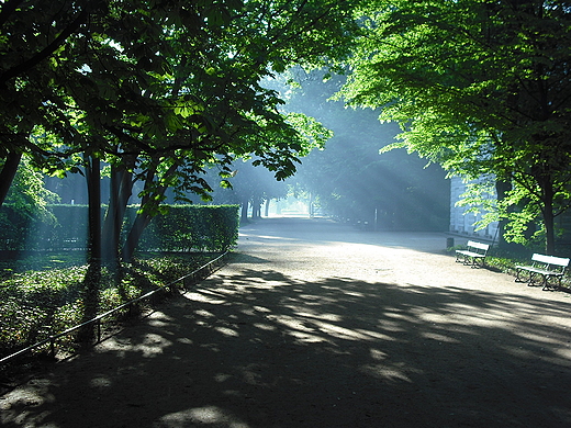 Warszawa. Poranek w azienkach.