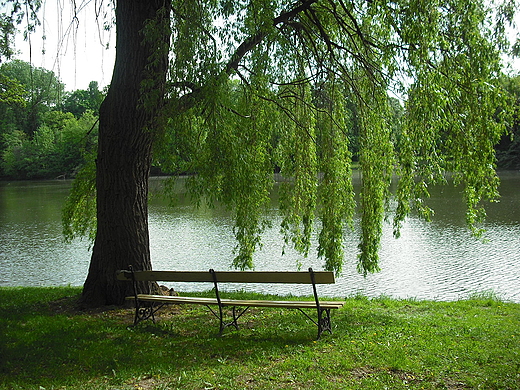 Warszawa. aweczka w Parku Skaryszewskim.