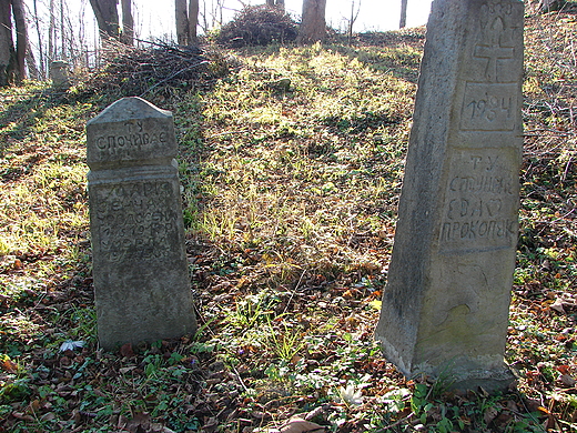 Stary cmentarz w m.Rajskie