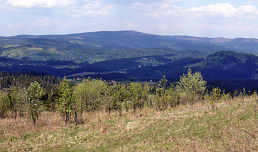 Beskid lski. Barania Gra 1220m npm.