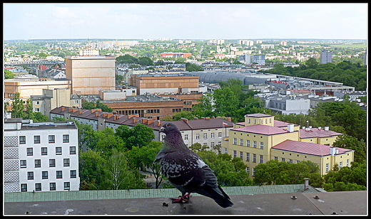 spojrzenie na Lublin