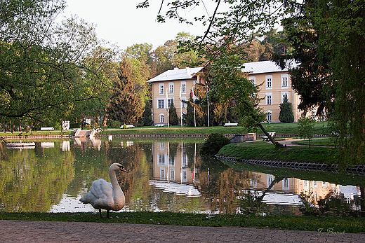 Park Zdrojowy