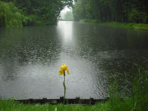 Warszawa. Deszczowe azienki.