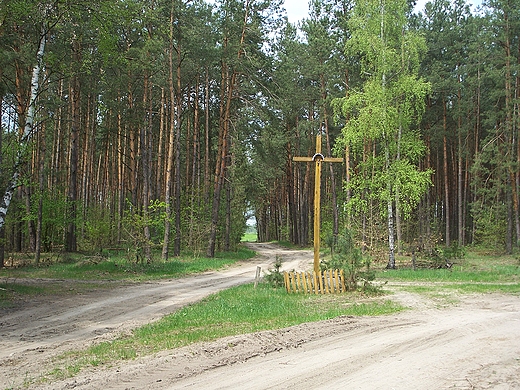 Poleski  PN. Rozstaje w  Suchym  Lesie.