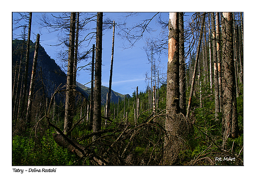 Tatry - Dolina Roztoki