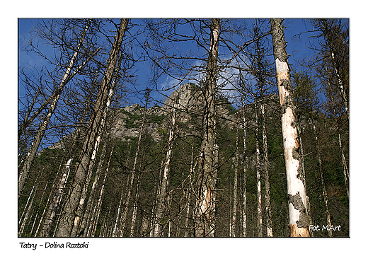 Tatry - Dolina Roztoki