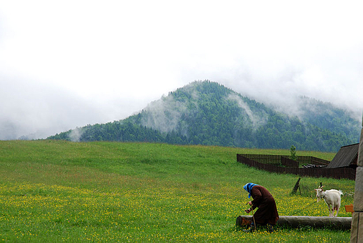 Zakopane