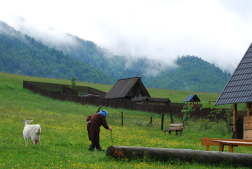 Zakopane