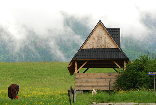 Zakopane