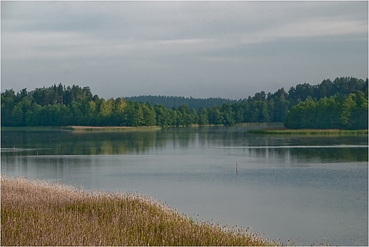 Jezioro Wigry - Wyspa Ostrw.