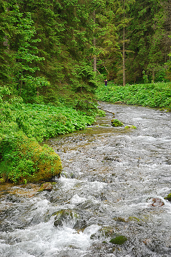 Dolina Kocieliska