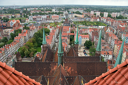 widok z wiey Bazyliki Mariackiej