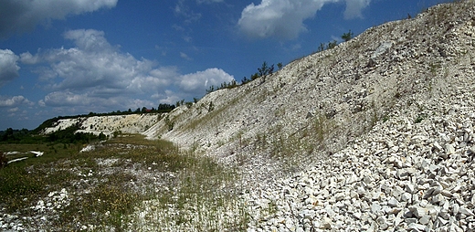 Kamienioom w Kaliszanach