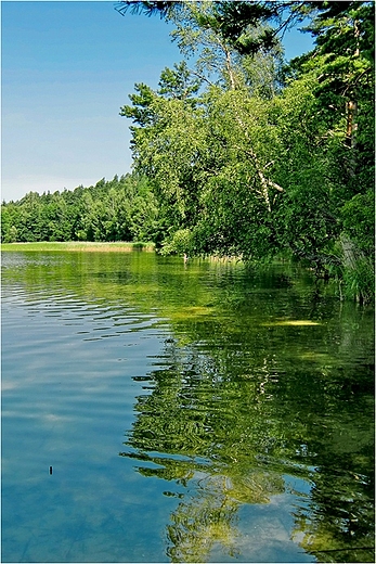 Jezioro Wigry - zatoka Piaski.