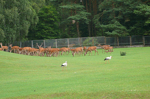 ZOO w Bydgoszczy