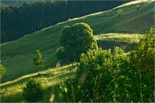 W Suwalskim Parku Krajobrazowym.