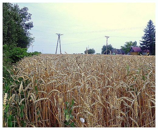 na obrzeach miasta