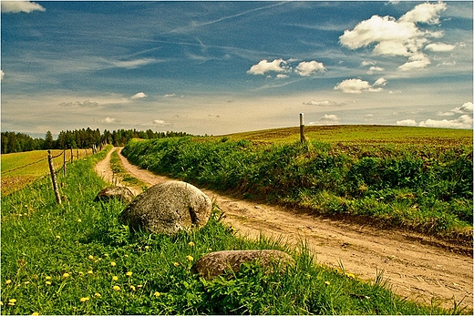 W Suwalskim Parku Krajobrazowym.