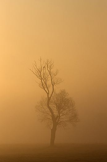 Poranne melancholie. Podlasie