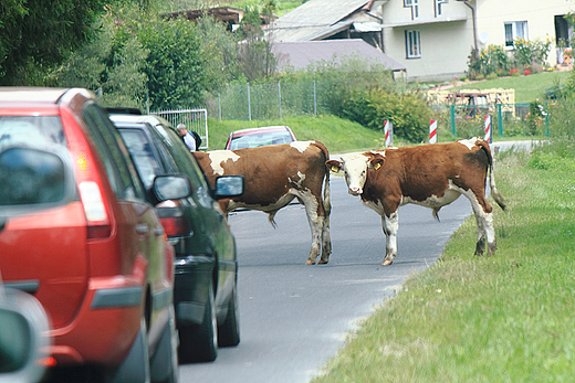 Pierszestwo na drodze