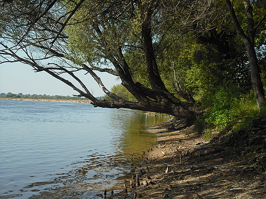 Pomiechowo. Nad Narwi.