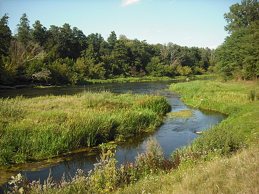 Szczypiorno. Nad Wkr.