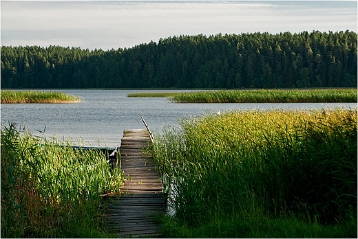 Wigierski Park Narodowy - Jezioro Wigry.