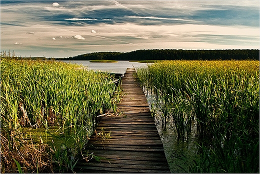 Wigierski Park Narodowy - Jezioro Wigry.