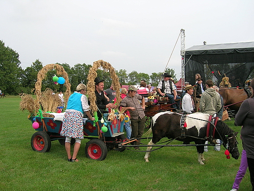 Doynki w Zabrzu 2012 r