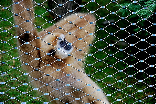 W krakowskim ZOO leniwie pynie czas