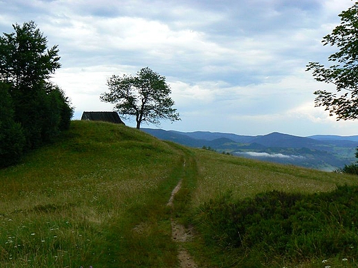 Stodka babci Ludwiki na Poczekaju.