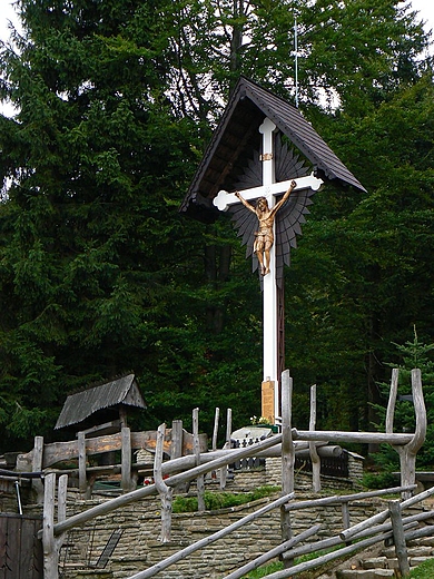 Biay krzy na przeczy Salmopolskiej