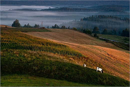 Suwalski Park Krajobrazowy.Widok ze zbocza Cisowej Gry.