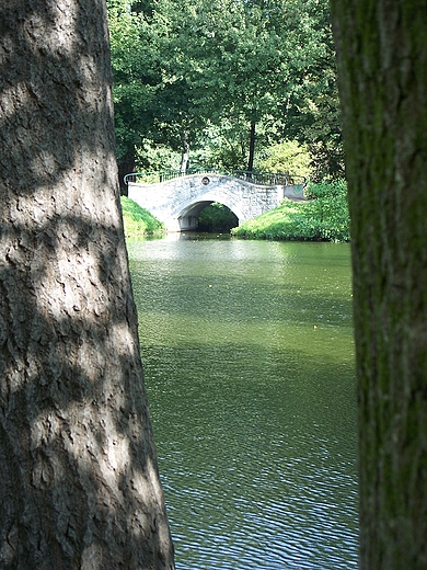 Pruszkw, park Potulickich.