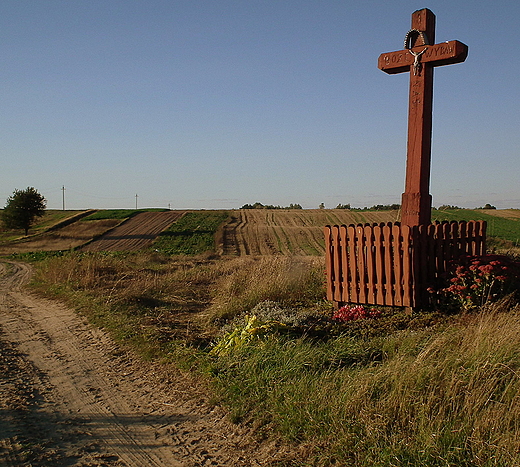 rdpolny krzy w okolicach Izbicy