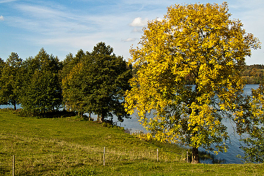 Suwalskie klimaty. Jezioro Rospuda.