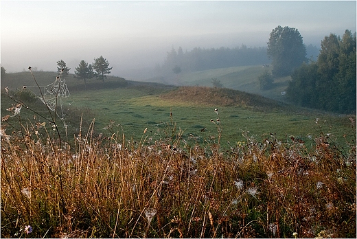 Jesie na Suwalszczynie.