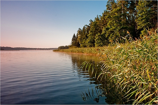 Jezioro Wigry.Cimochowski brzeg.