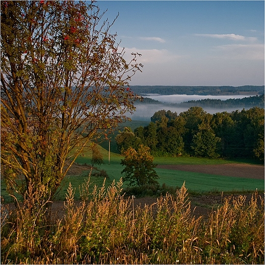 Jesie na Suwalszczynie.