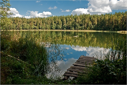 Dolina Rospudy.Jezioro Jaowo.