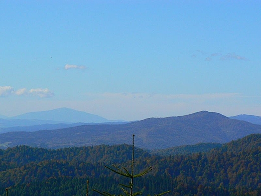 Babia Gra, Luba za nim Turbacz z Maego Rogacza