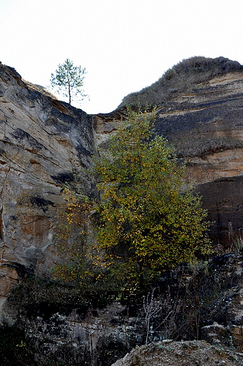 Smerdyna - kopalnia wapienia