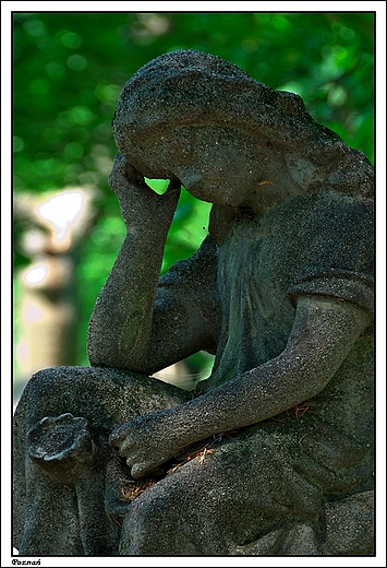 Pozna - zabytkowy cmentarz parafialny przy ul. Nowina 1