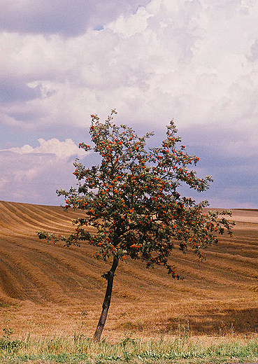 Koniec lata