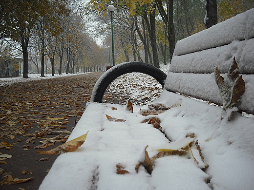 Warszawa. Pierwszy nieg w Parku Szczliwickim.