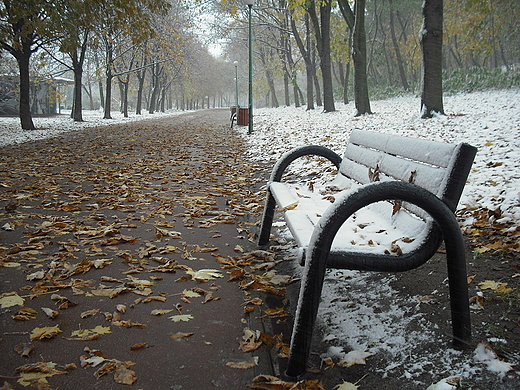 Warszawa. Pierwszy nieg w Parku Szczliwickim.